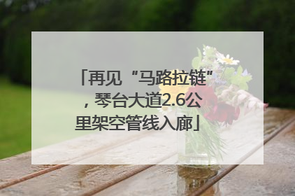 再见“马路拉链”，琴台大道2.6公里架空管线入廊