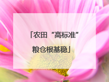 农田“高标准” 粮仓根基稳
