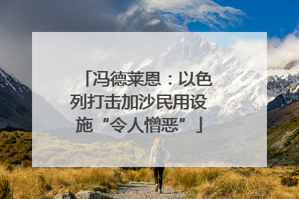 冯德莱恩：以色列打击加沙民用设施“令人憎恶”