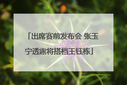 出席赛前发布会 张玉宁透露将搭档王钰栋