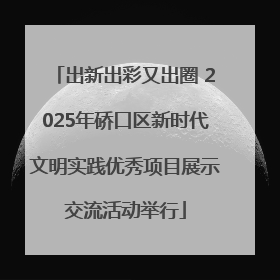 出新出彩又出圈 2025年硚口区新时代文明实践优秀项目展示交流活动举行
