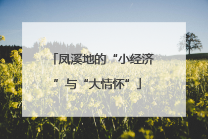凤溪地的“小经济”与“大情怀”