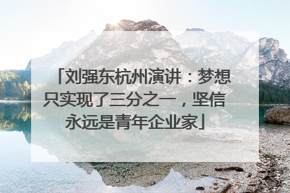 刘强东杭州演讲：梦想只实现了三分之一，坚信永远是青年企业家