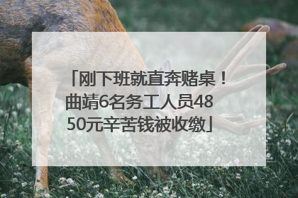 刚下班就直奔赌桌！曲靖6名务工人员4850元辛苦钱被收缴