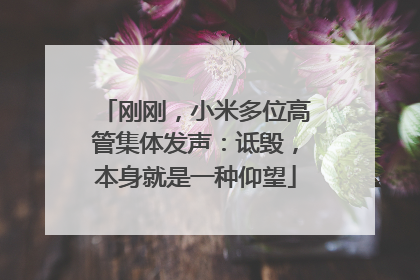 刚刚，小米多位高管集体发声：诋毁，本身就是一种仰望