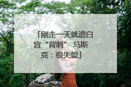 刚走一天就遭白宫“背刺” 马斯克：很失望