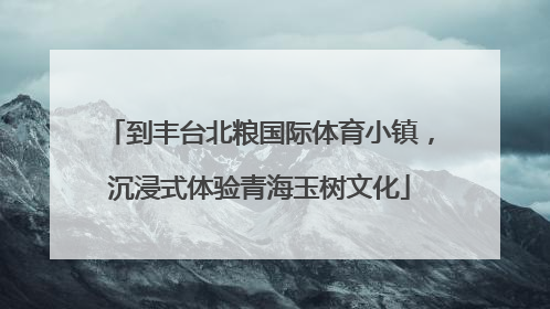到丰台北粮国际体育小镇，沉浸式体验青海玉树文化
