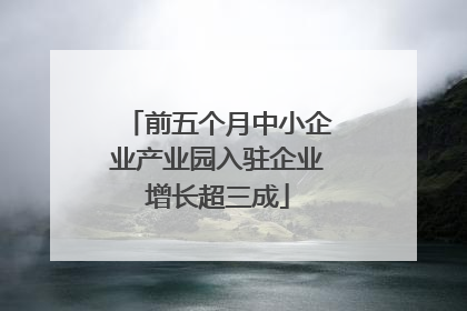 前五个月中小企业产业园入驻企业增长超三成