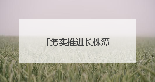 务实推进长株潭“一座城”建设