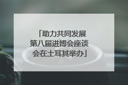 助力共同发展 第八届进博会座谈会在土耳其举办