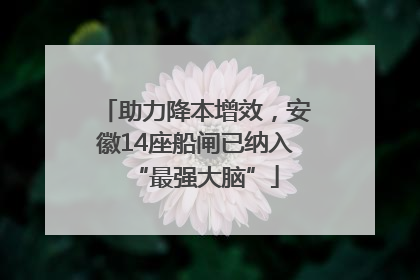 助力降本增效，安徽14座船闸已纳入“最强大脑”