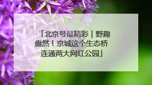 北京号最精彩｜野趣盎然！京城这个生态桥连通两大网红公园