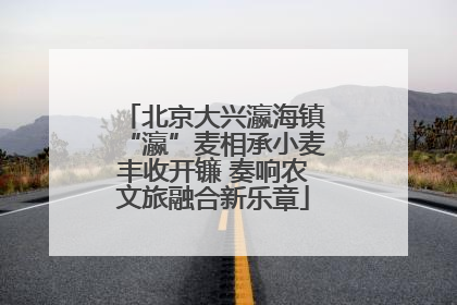 北京大兴瀛海镇“瀛”麦相承小麦丰收开镰 奏响农文旅融合新乐章