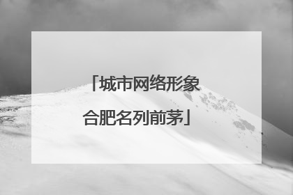城市网络形象合肥名列前茅