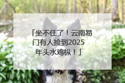 坐不住了！云南易门有人捡到2025年头水鸡枞！