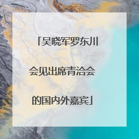吴晓军罗东川会见出席青洽会的国内外嘉宾