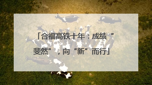 合福高铁十年：成绩“斐然”，向“新”而行