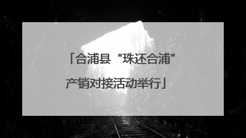 合浦县“珠还合浦”产销对接活动举行