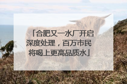 合肥又一水厂开启深度处理，百万市民将喝上更高品质水