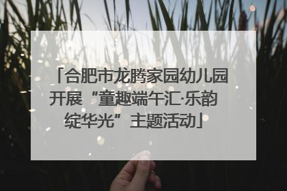 合肥市龙腾家园幼儿园开展“童趣端午汇·乐韵绽华光”主题活动