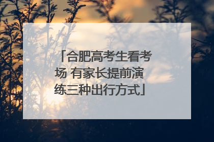 合肥高考生看考场 有家长提前演练三种出行方式