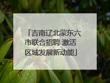 吉南辽北蒙东六市联合招聘 激活区域发展新动能