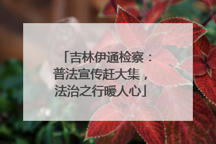 吉林伊通检察：普法宣传赶大集，法治之行暖人心