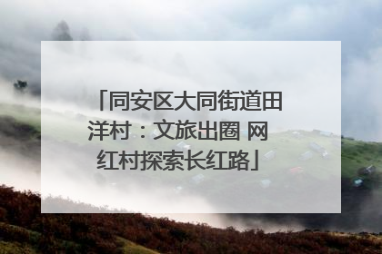 同安区大同街道田洋村：文旅出圈 网红村探索长红路
