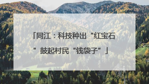 同江：科技种出“红宝石”鼓起村民“钱袋子”