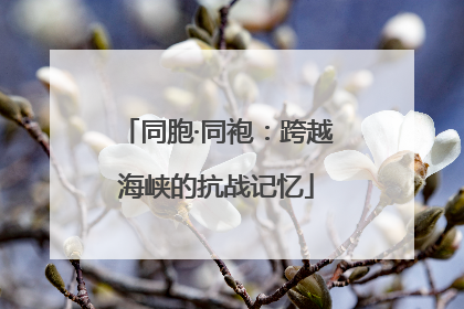 同胞·同袍：跨越海峡的抗战记忆