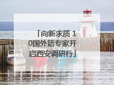 向新求质 10国外籍专家开启西安调研行