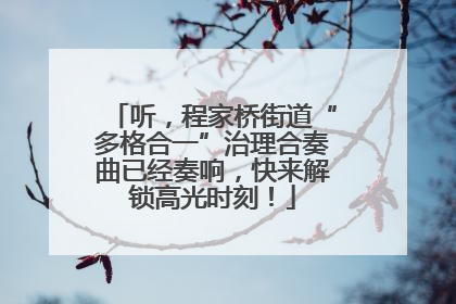 听，程家桥街道“多格合一”治理合奏曲已经奏响，快来解锁高光时刻！