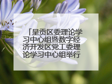 呈贡区委理论学习中心组暨数字经济开发区党工委理论学习中心组举行2025年第七次学习会议