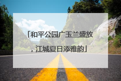 和平公园广玉兰盛放，江城夏日添雅韵