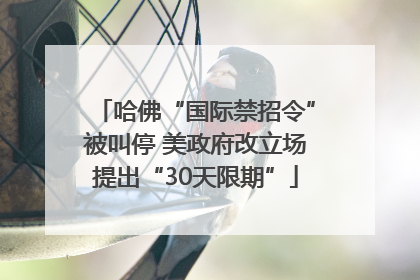 哈佛“国际禁招令”被叫停 美政府改立场提出“30天限期”