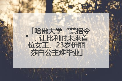 哈佛大学“禁招令”，让比利时未来首位女王、23岁伊丽莎白公主难毕业