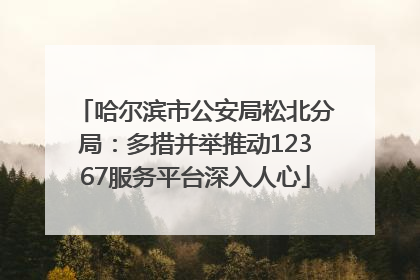 哈尔滨市公安局松北分局：多措并举推动12367服务平台深入人心