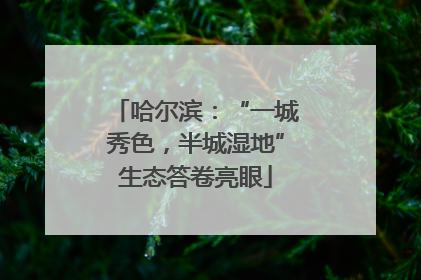 哈尔滨：“一城秀色，半城湿地”生态答卷亮眼