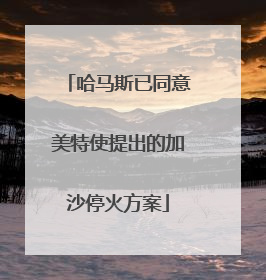 哈马斯已同意美特使提出的加沙停火方案