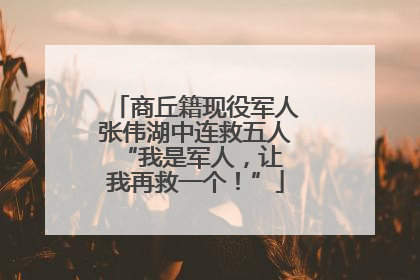商丘籍现役军人张伟湖中连救五人 “我是军人，让我再救一个！”