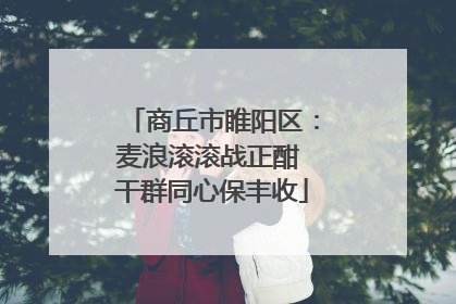 商丘市睢阳区：麦浪滚滚战正酣 干群同心保丰收