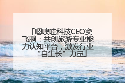 嗯噢哇科技CEO窦飞鹏：共创旅游专业能力认知平台，激发行业“自生长”力量