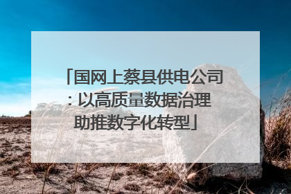 国网上蔡县供电公司：以高质量数据治理 助推数字化转型