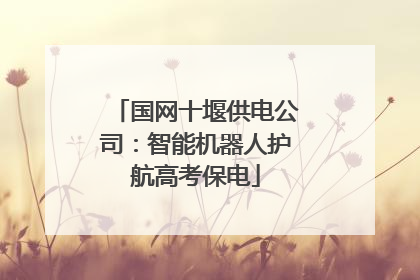 国网十堰供电公司：智能机器人护航高考保电