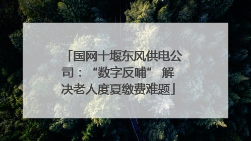 国网十堰东风供电公司：“数字反哺” 解决老人度夏缴费难题