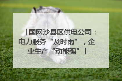 国网沙县区供电公司：电力服务“及时雨”，企业生产“动能强”