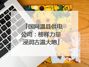 国网温县供电公司：榜样力量浸润古温大地
