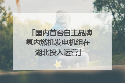 国内首台自主品牌氢内燃机发电机组在湖北投入运营
