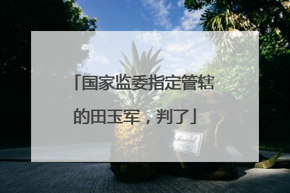 国家监委指定管辖的田玉军，判了