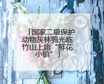 国家二级保护动物灰林鸮光临竹山上庸“鲜花小镇”